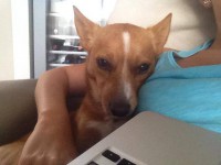 /album/teri-/a1234468-211408045689903-898709777-n-1-jpg/